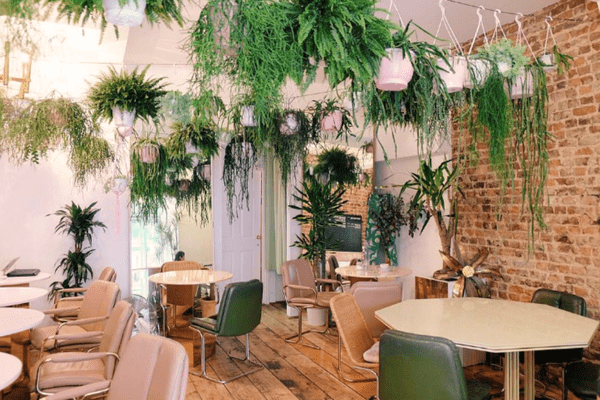 Palm Vaults, Hackney