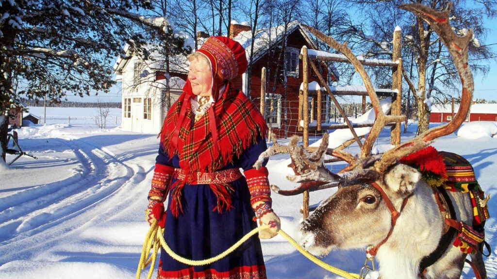 sami with reindeer