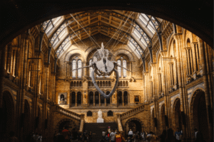 best museums in london