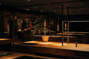 noma restaurant in denmark