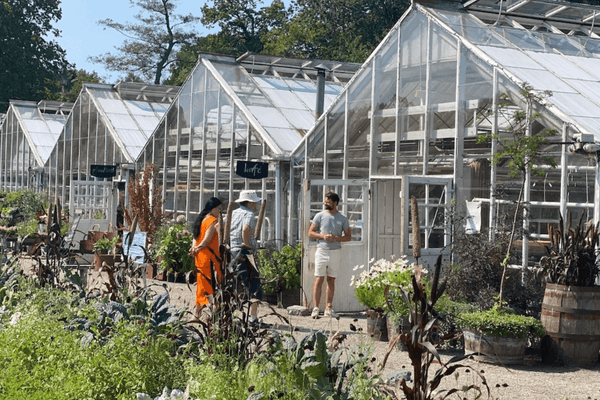 Rosendals Trädgårdskafé