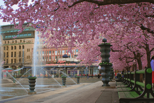 when to visit stockholm in spring