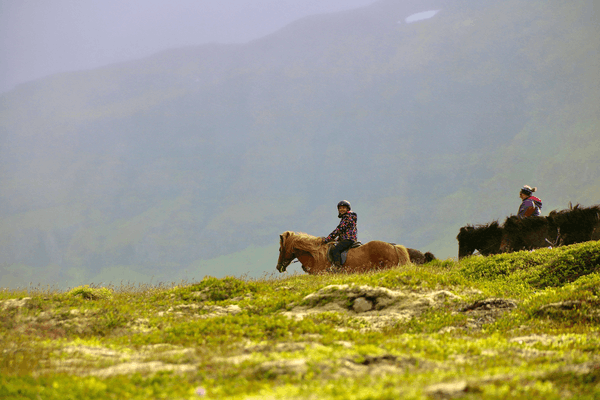 Icelandic Horse Riding