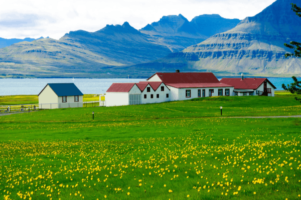 spring in iceland
