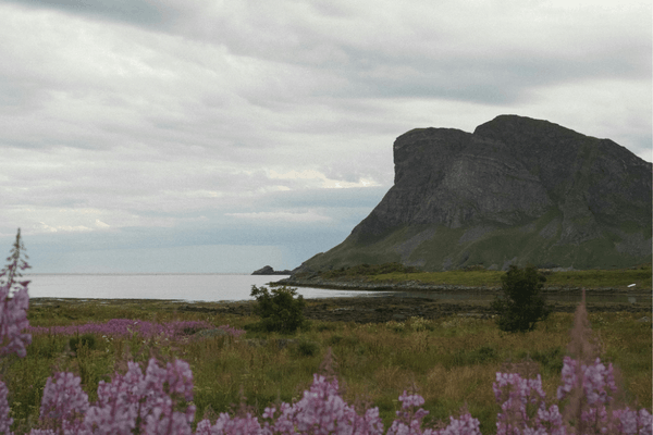 Coastal Landscapes and the Búðahraun Lava Field