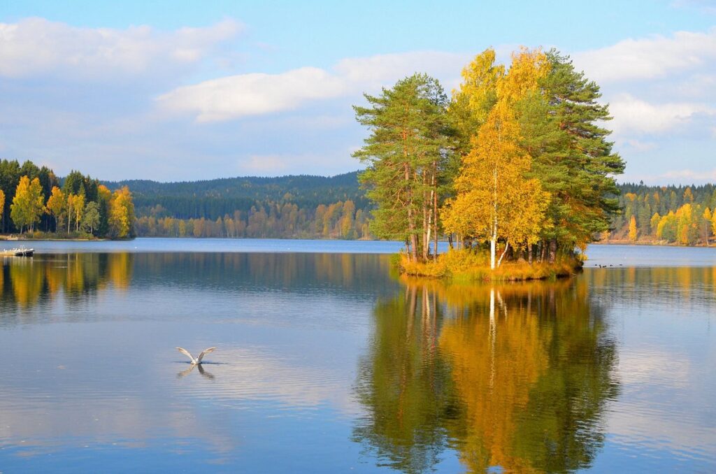 Sognsvann and the Marka Lakes