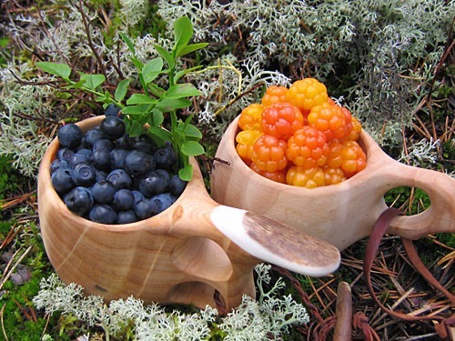 Wild Berries – Lingonberries, Bilberries, and Cloudberries