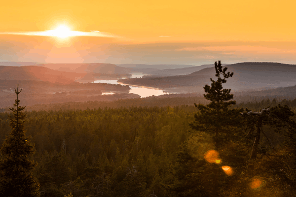 Midnight Sun
