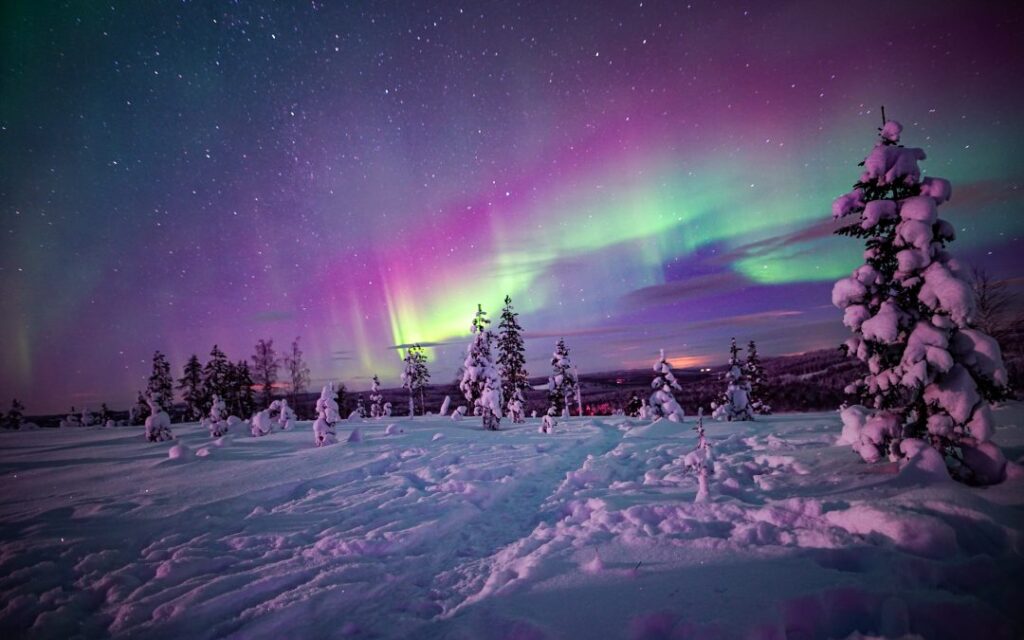 Northern Lights
