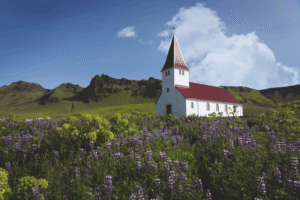 what to do in vik iceland