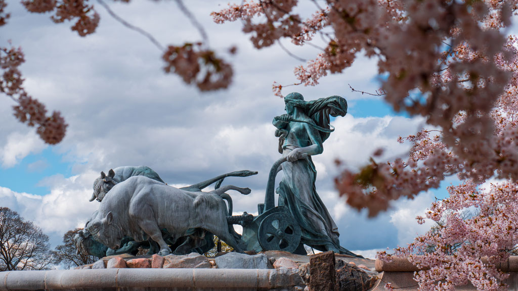 Copenhagen Sakura Festival