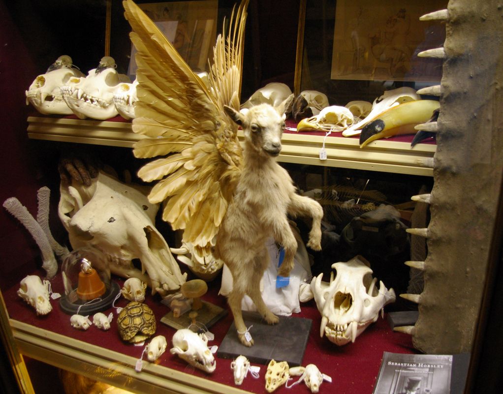 The Viktor Wynd Museum of Curiosities