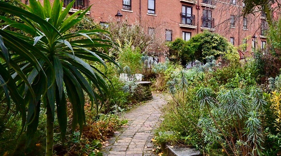 The Phoenix Garden