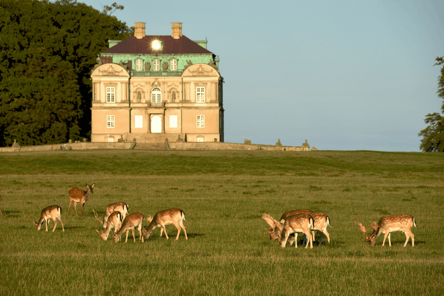 The Hermitage Royal Hunting Lodge