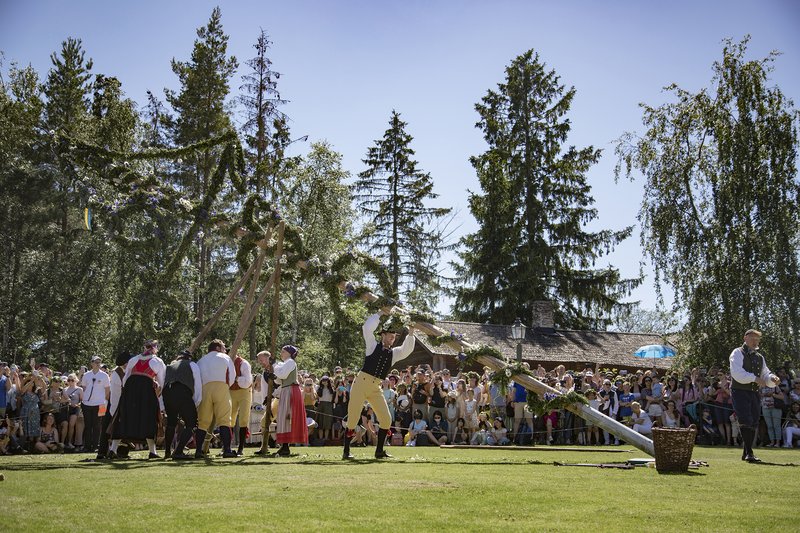 Midsommar (Midsummer)